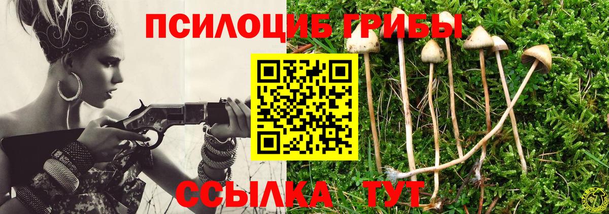 Псилоцибиновые грибы GOLDEN TEACHER Пугачёв