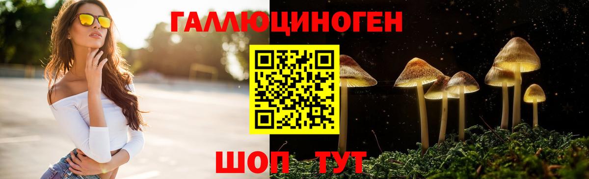 Пугачёв  Галлюциногенные грибы GOLDEN TEACHER  Псилоцибиновые грибы мухоморы  Вход с VPN 